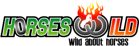 Horses Wild Custom Logo Design.