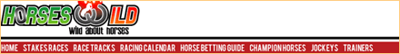 Horses Wild
