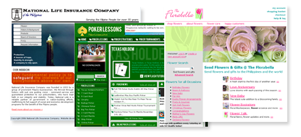 Image of Web Design service Website Design via CSS, DHTML, AJAX and WordPress themes